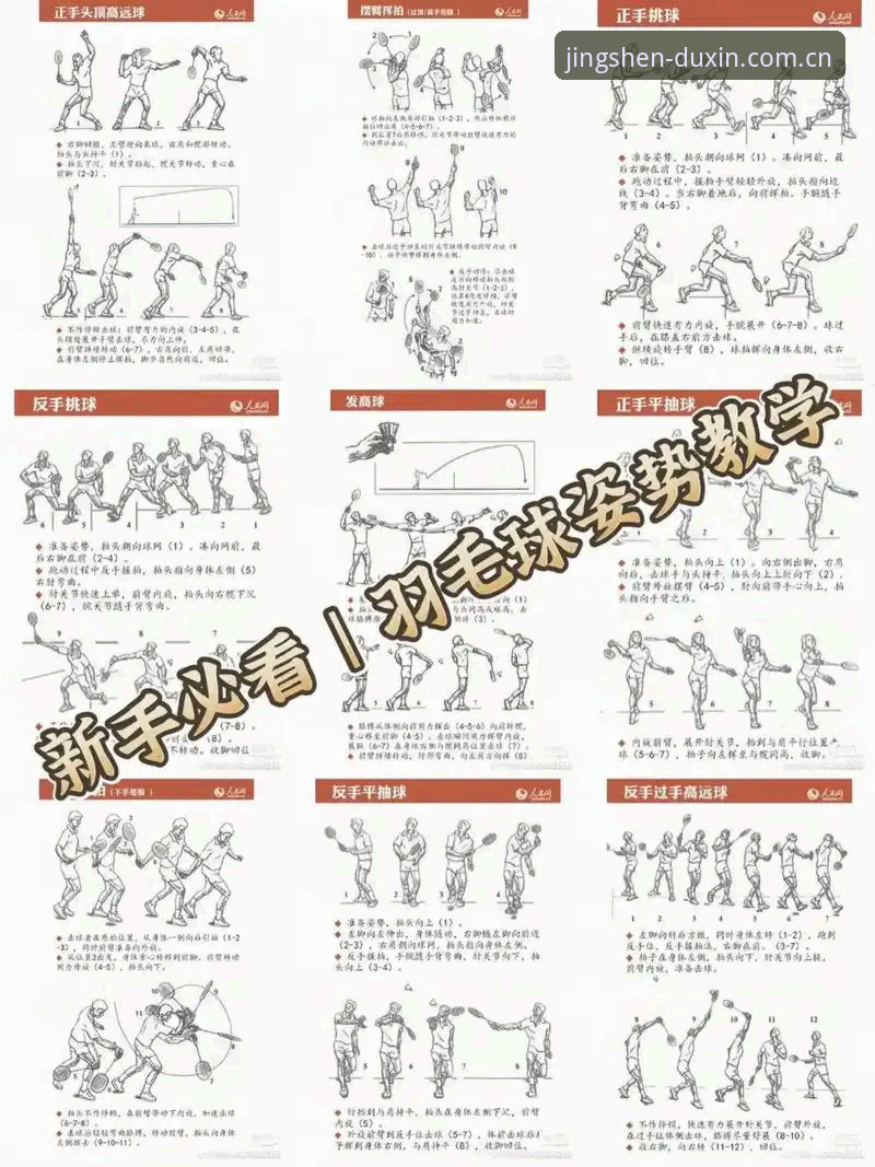 德信体育新手教程2026最新版本 德信体育新手教程2026最新版本全流程介绍